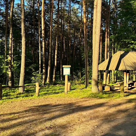 Forest Modern Barn And Private Woods Vakantiehuis Jamielnik (Nowe Miasto)